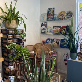 108 vine - Interior - Coffee & Tea Near Me - Gainesville, Florida
