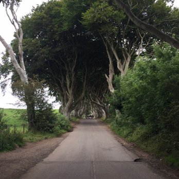 The Dark Hedges - entrance - Landmarks & Historical Buildings Near Me - Antrim, BLY The Dark Hedges - entrance - Landmarks & Historical Buildings Near Me - Antrim, BLY