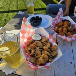 Little Woodrow's Babcock - Fried pickles and fried cheese balls with beers