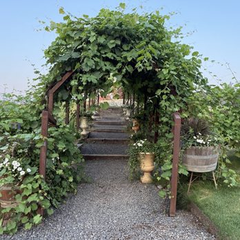 Discovery Fire - Cool grape vine tunnel - Festivals Near Me - Coeur d'Alene, Idaho