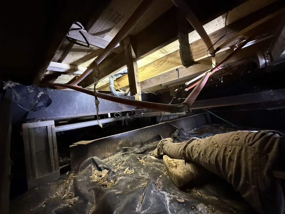 Slide of Drip Doctors Plumbing & Drain cleaning