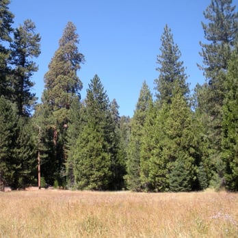 Redwood Meadow Campground - Campgrounds Near Me - Springville, California Redwood Meadow Campground - Campgrounds Near Me - Springville, California