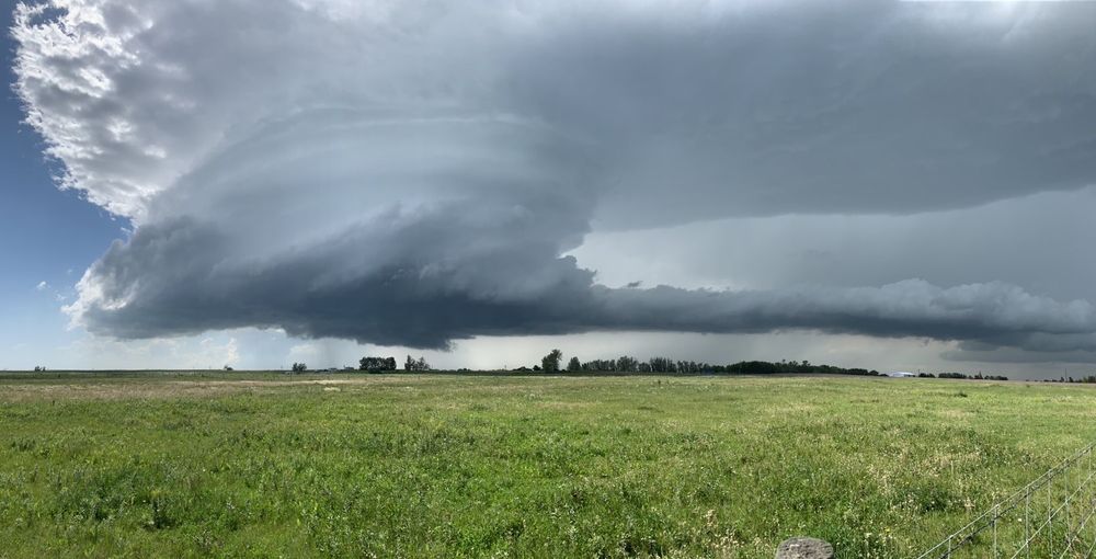 COSTCO WHOLESALE Updated August 2024 164 Leva Avenue, Red Deer