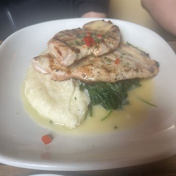 Terrapin Restaurant - Meyer lemon chicken - New American Near Me - Rhinebeck, New York Terrapin Restaurant - Meyer lemon chicken - New American Near Me - Rhinebeck, New York