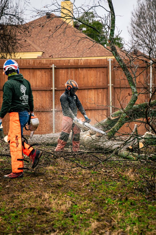 Chippers Tree Service - tree service in Grand Prairie, TX