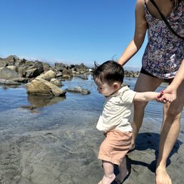 Tide pool fan!