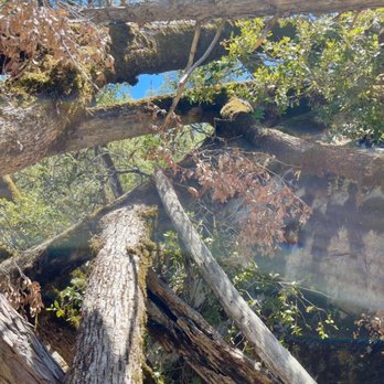 Willow Creek Trail - Hiking Near Me