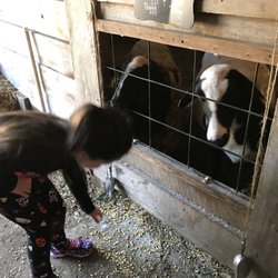Mecca Family Farms