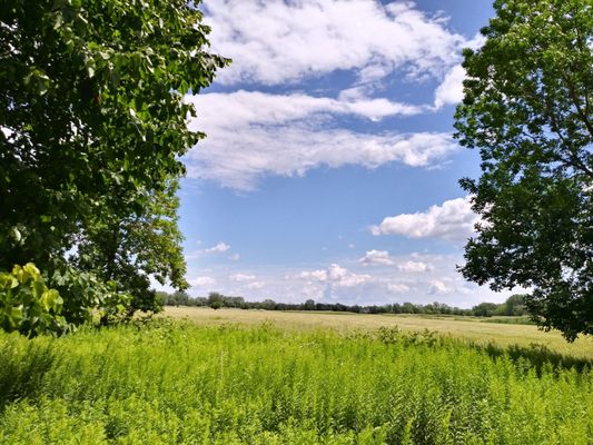 Boucherville Islands National Park by null