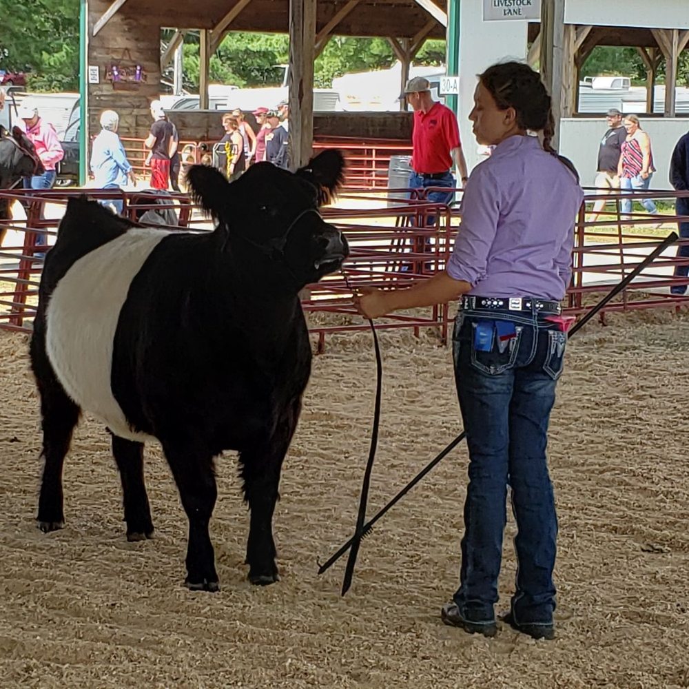 Windsor Fair - Festivals Near Me - Windsor, Maine Windsor Fair - Festivals Near Me - Windsor, Maine