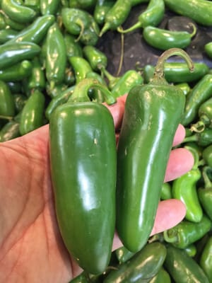 City Farmers Market Atlanta by null