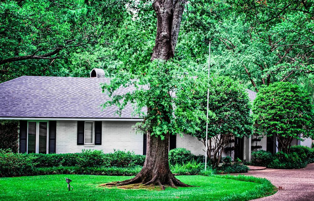 Slide of Hargrove Roofing & Construction