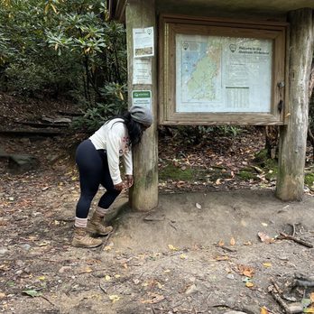 Lookout Trail and Mountain - Entrance - Hiking Near Me - Montreat, North Carolina