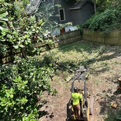 Gill Tree Care - All the right equipment for the job