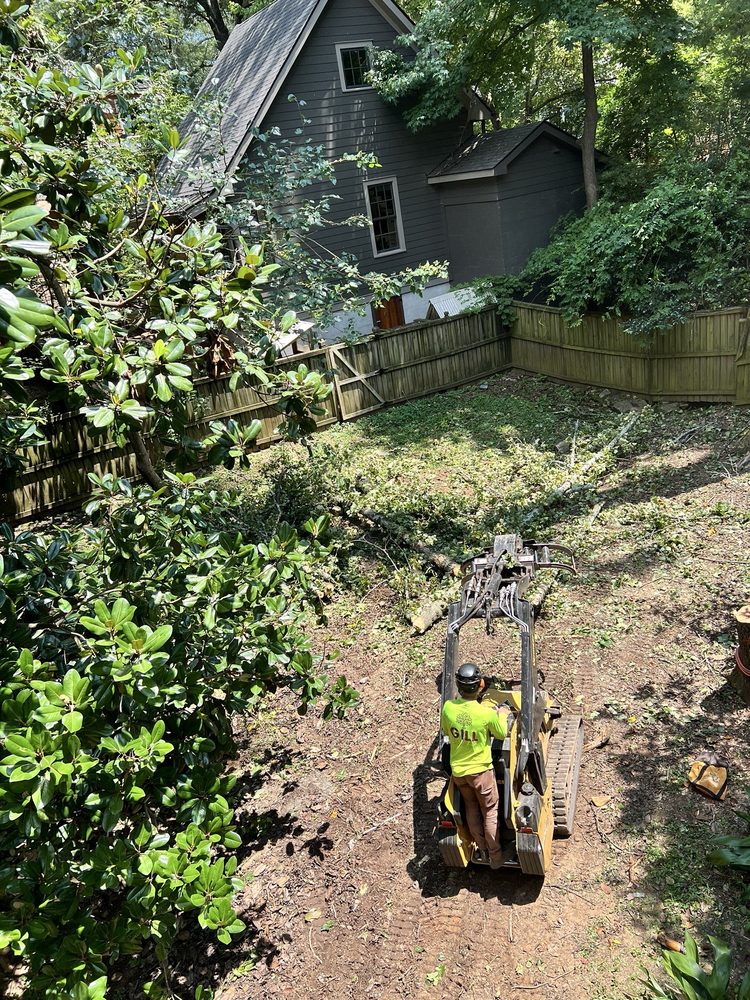 Gill Tree Care - tree service in Decatur, GA