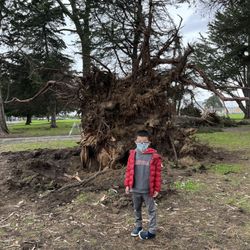 Crocker Amazon Playground