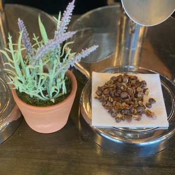 Qahwah House - Coffee & Tea Near Me - Dearborn, Michigan Qahwah House - Coffee & Tea Near Me - Dearborn, Michigan