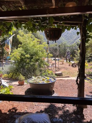 Carmel Valley Lodge by null