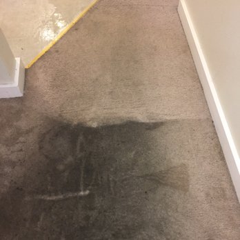 Carpet Care HP - Home Cleaning Near Me