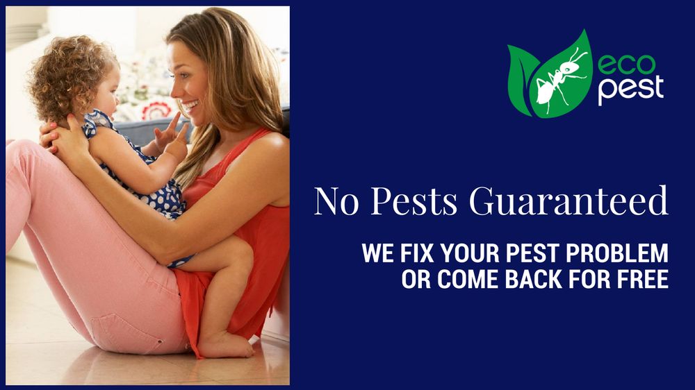 Eco Pest Control - veterans service organization in Glen Allen, VA