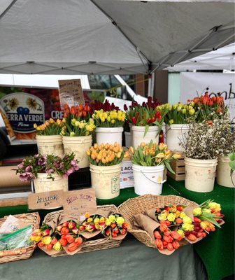 University District Farmers Market by null