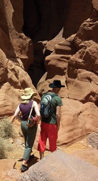 El Portal Sedona Hotel by null