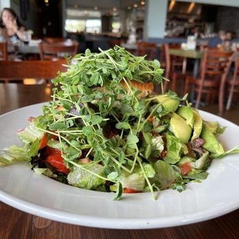 Pita Jungle - Nordic Super Green Salad - Mediterranean Near Me - Tempe, Arizona