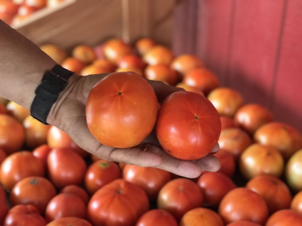 LEVER FARMS Updated August 2024 52 Photos 5057 SC Hwy 34, Pomaria