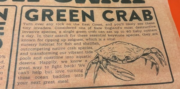 Mystic Fish Camp by null