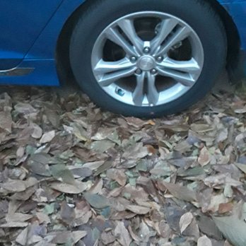 Dent Solutions - Rear wheel well - Body Shops Near Me - Memphis, Tennessee