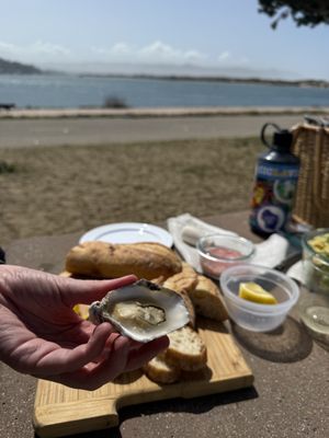 Morro Bay Oyster Company by null