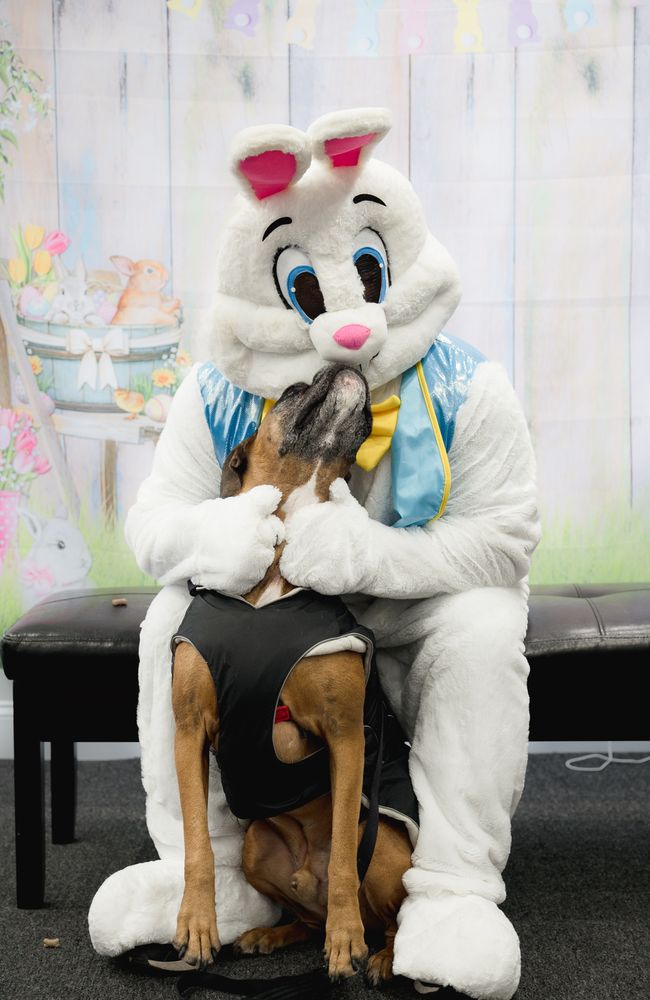 TIM DESMARAIS KELLER WILLIAMS SUCCESS REALTY Updated September 2024 66 Photos 7 Broadway