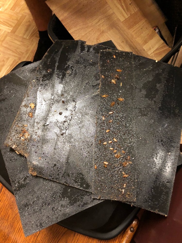 CRANBROOK DOWNS 13 Photos 14335 Ella Blvd, Houston, Texas