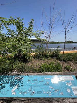 Riverbank Park by null