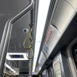The El