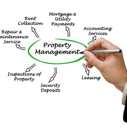 Management Specialists