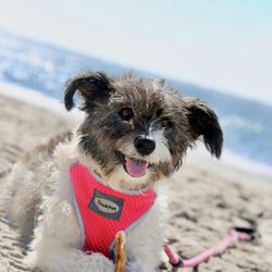 Top 10 Best Nude Beach in New York, NY - Last Updated February 2021 - Yelp