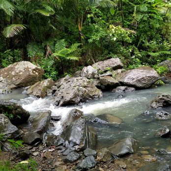 El Yunque Rainforest - Hiking Near Me - Luquillo, Puerto Rico