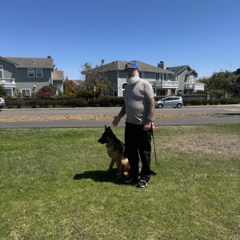 Barkeley K-9 University - Incredible session with Patrick - Pet Training Near Me Barkeley K-9 University - Incredible session with Patrick - Pet Training Near Me