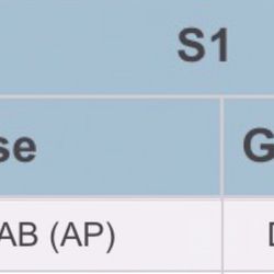Orland Math Whiz - This is the improvement I have experienced with Orland's tutoring and I couldn't be any happier!