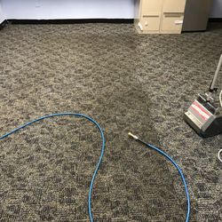 Ultimate Carpet & Upholstery Cleaning