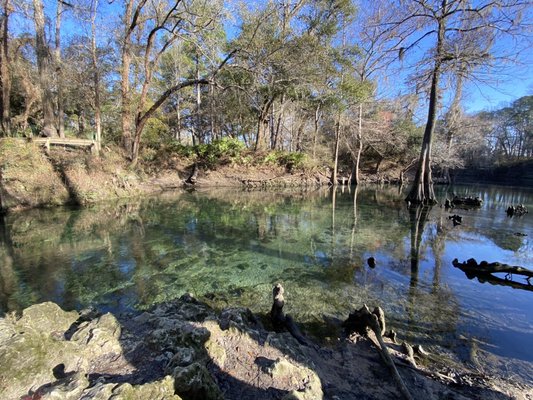 Madison Blue Spring State Park by null