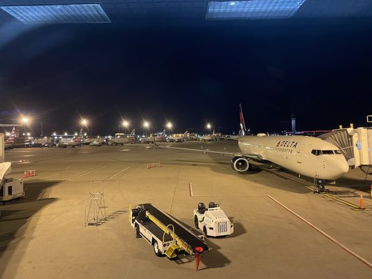 Delta Air Lines by null