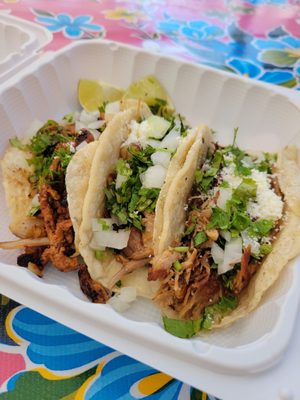 Poblano Pepper by null