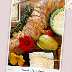 Toluma Farms & Tomales Farmstead Creamery - Best cheese sampling ever with Route One baguette