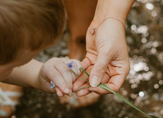 Jessi Marie Photography