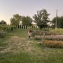 Photo of Blue Sky Flower Farm