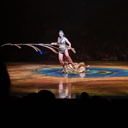 Cirque De Soleil Amaluna