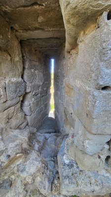 Château et remparts de la cité de Carcassonne by null