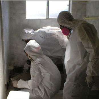 Golden State Environmental - untitled - Damage Restoration Near Me